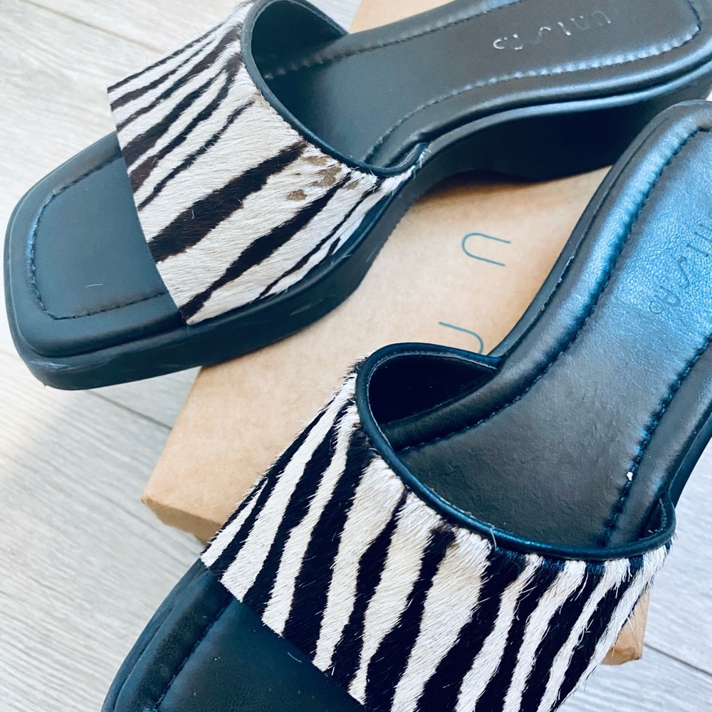Zebra Slide - Picture 5 of 6